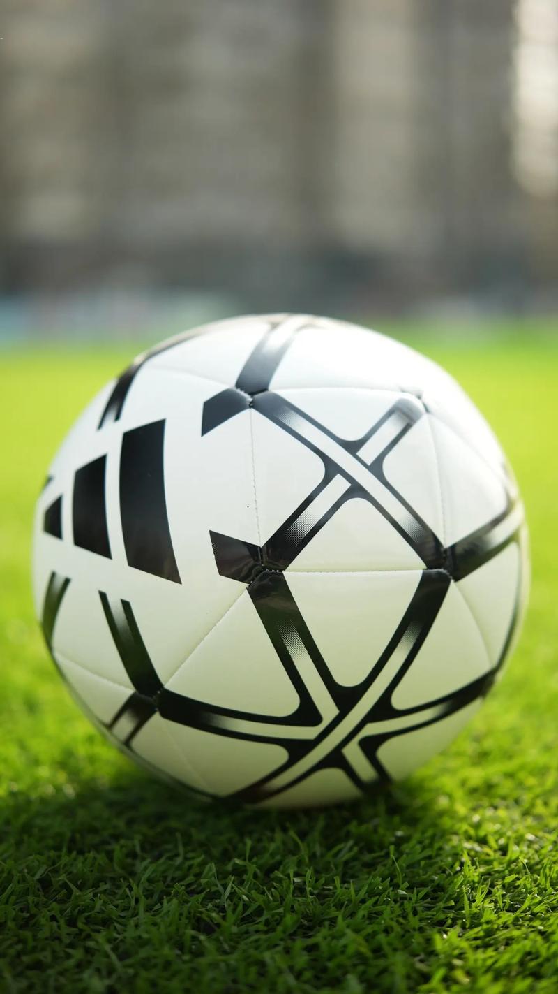 体育数据研究分析